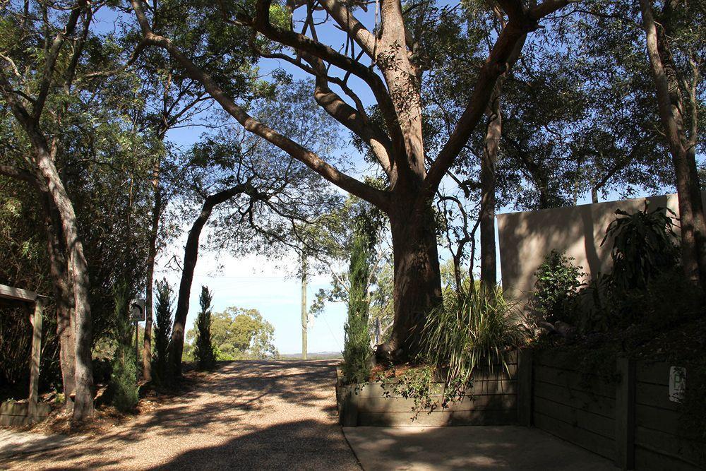 Arabella Guesthouse Alexandra Headland Exterior foto